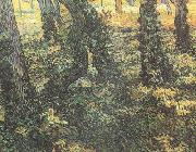 Vincent Van Gogh Tree Trunks with Ivy (nn04) Spain oil painting artist